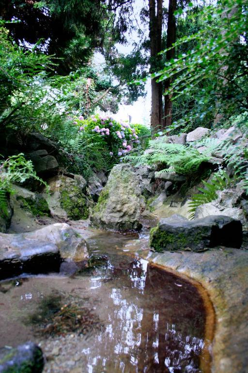 بروفونديفيل B&B La Source Fleurie المظهر الخارجي الصورة